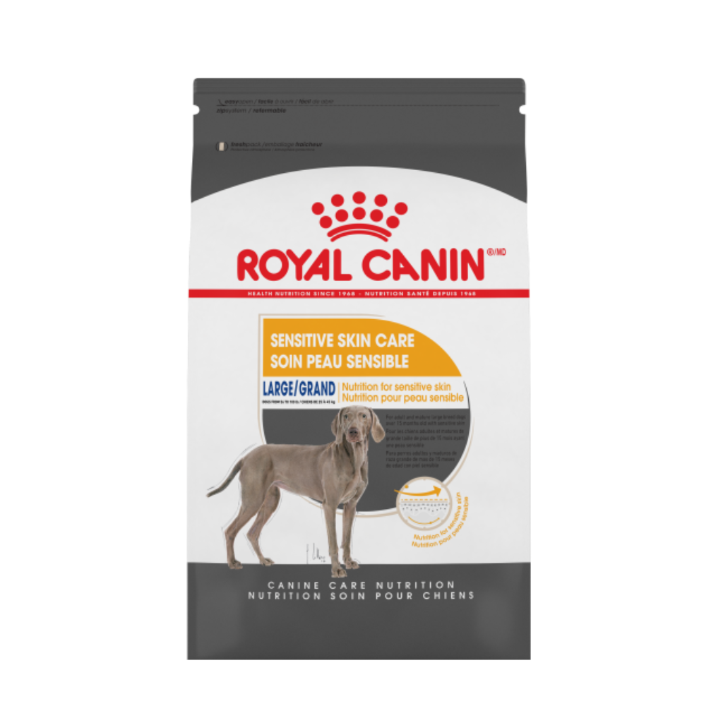 Royal canin large 2024 adult dog food