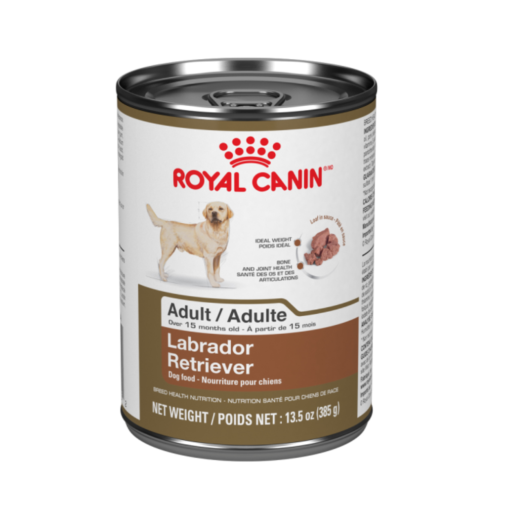 Labrador retriever dog food best sale